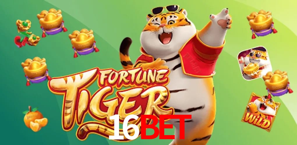 Bonus Features 16bet